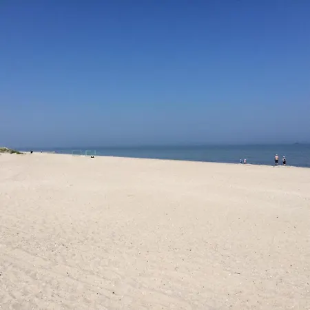 Strandgras Hooksiel